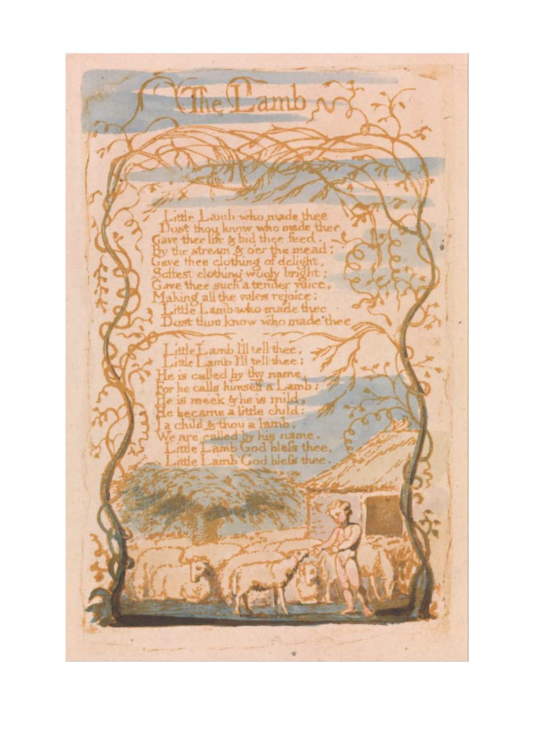The Lamb