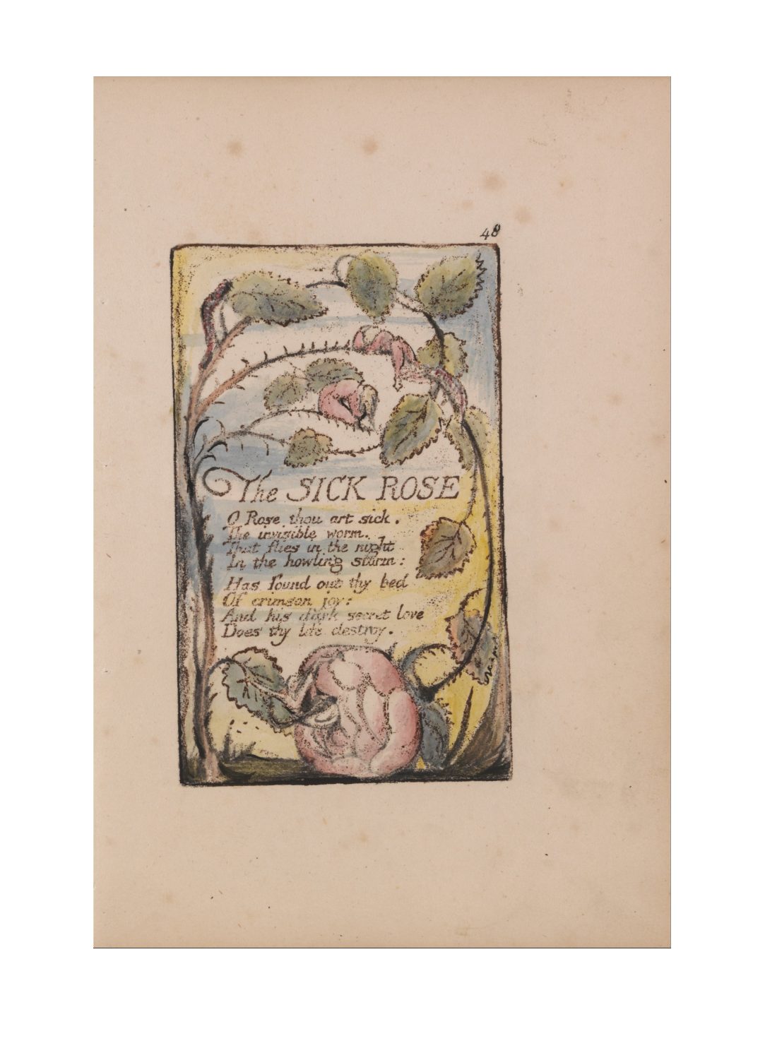 The Sick Rose