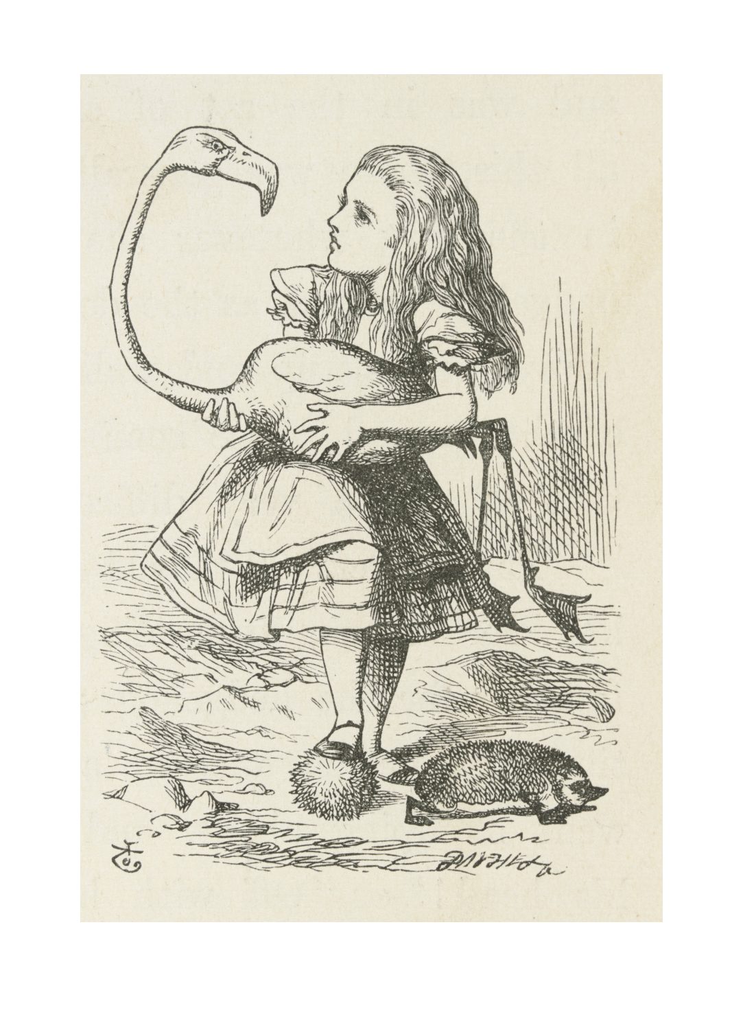 Alice and the Flamingo (Alice's Adventures in Wonderland)
